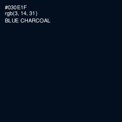#030E1F - Blue Charcoal Color Image